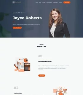 Professional Accountant Services Website